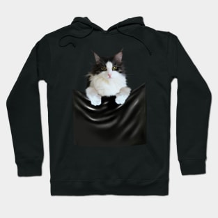 Ragamuffin Cat, Funny Cat Inside Pocket Hoodie